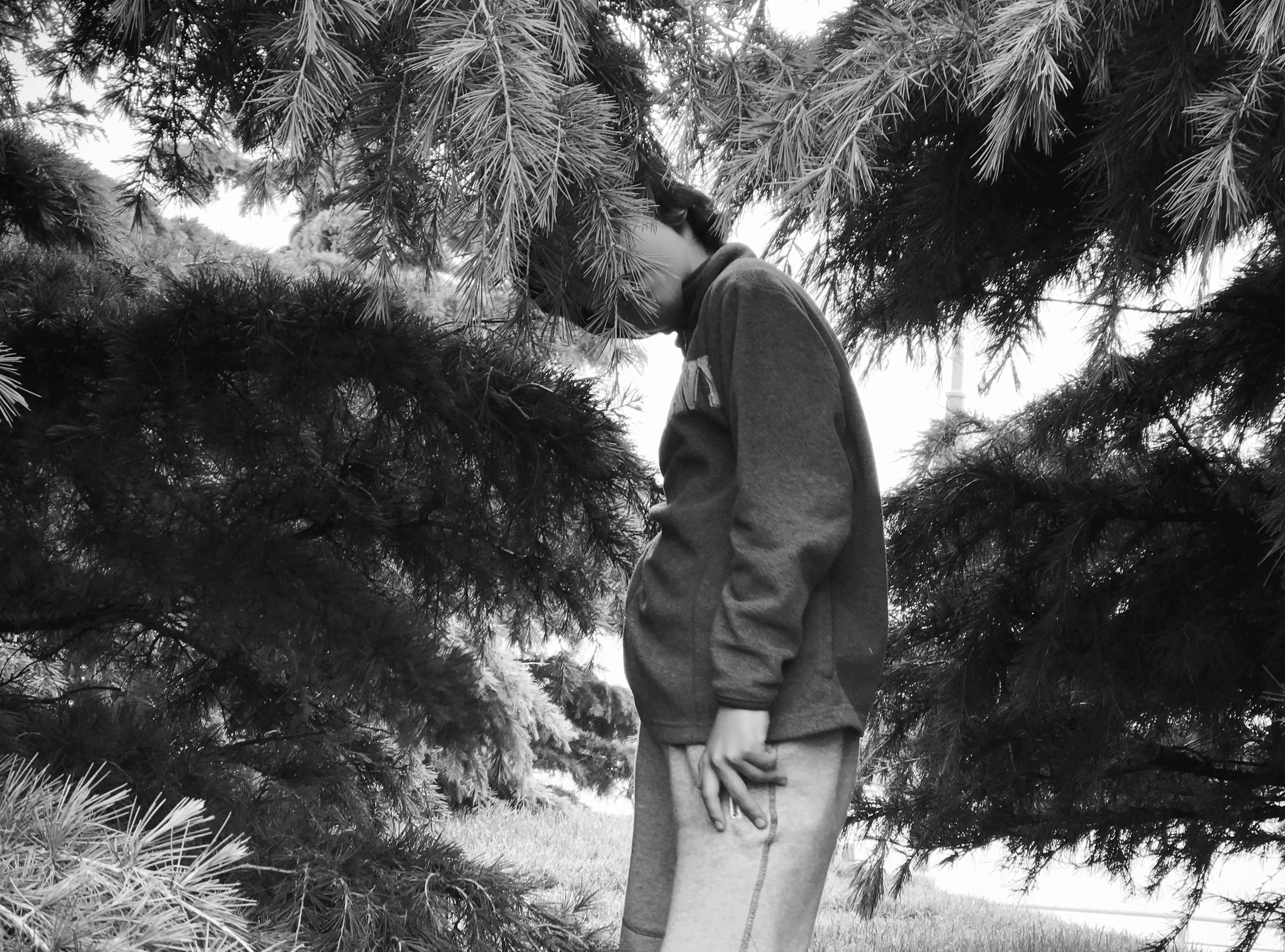 Boy with head in pine tree branches in black and white